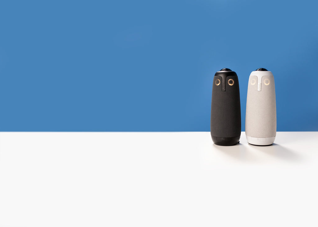 1787_Meeting-Owl_and_Meeting-