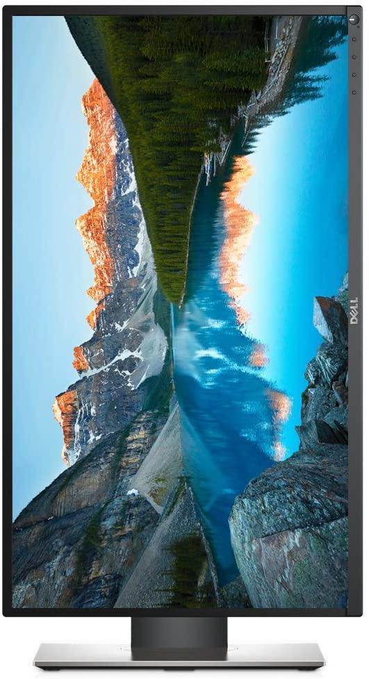 Dell Professional P2018H 19.5